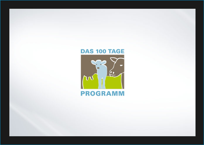 3We Portfolio Logo: Das 100 Tage Programm