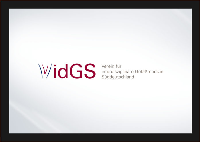 3We Portfolio Logo: vidGS