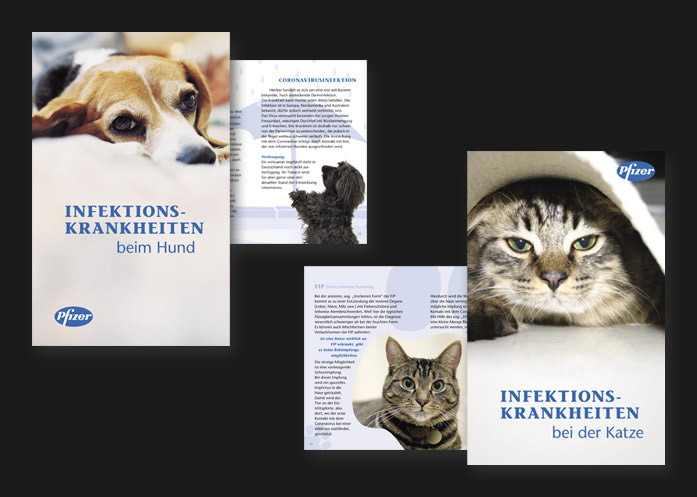 3We Portfolio Print: Pfizer GmbH Infektionskrankheiten